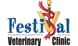 Festival Veterinary Clinic